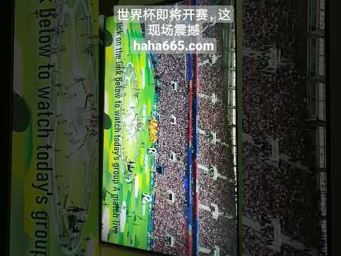 格林快速切,入篮下,轻松越过唐,世界杯直播,2026世界杯,实时直播,比赛回放,足球赛事